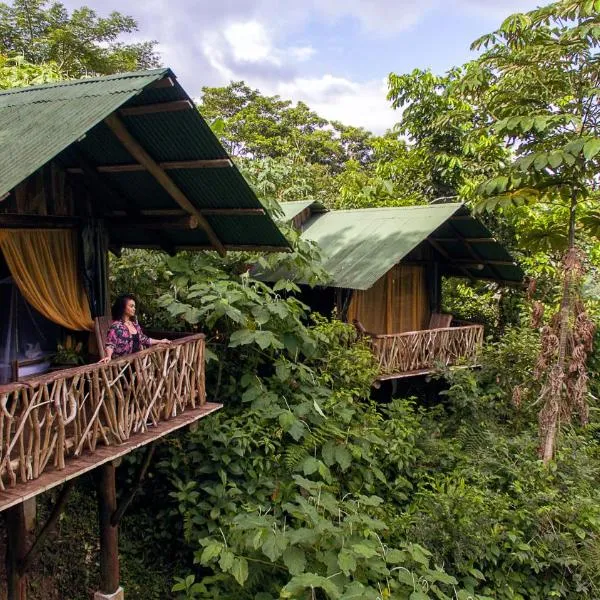 La Tigra Rainforest Lodge，福爾圖納的飯店