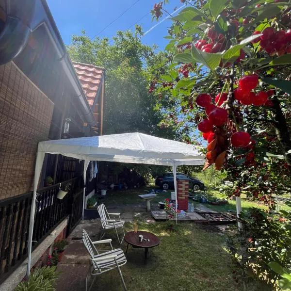 Ordinacija pod šljivom, hotell sihtkohas Pirot