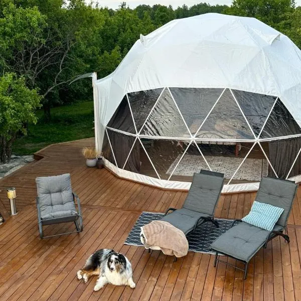 Saare Glamping Dome House โรงแรมในSalme