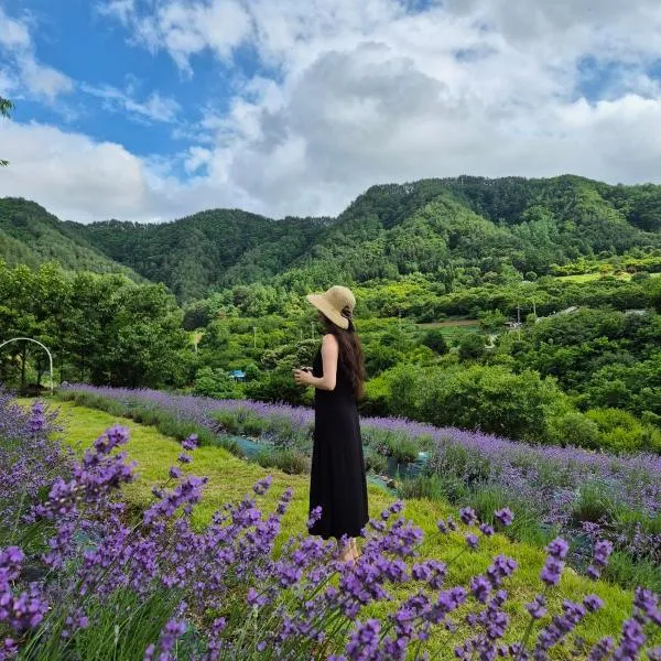 yangwon lavender 양원라벤더 금강송숲길 협곡열차, hotel sa Wŏn'gok