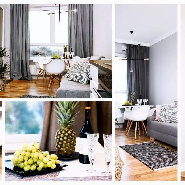 Apartamenty Grażyna Słodowiec، فندق في وارسو