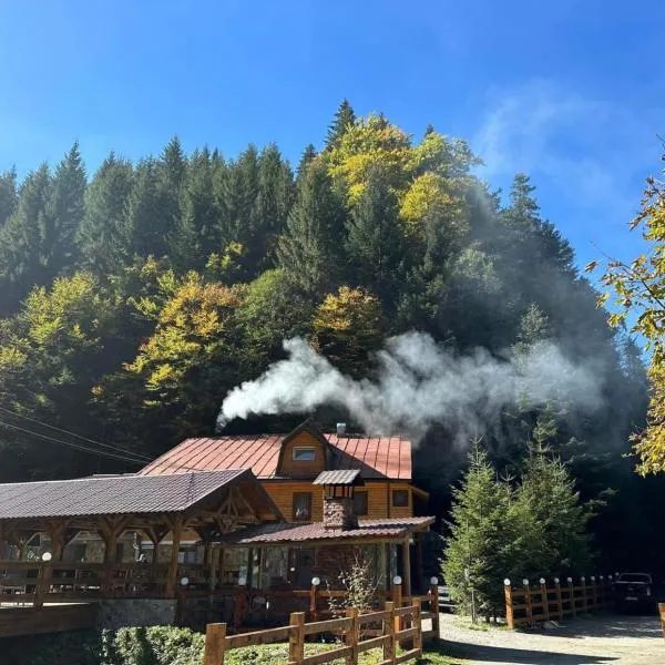 CABANA MARIA-PETRIMANU, hotel in Ciungetu
