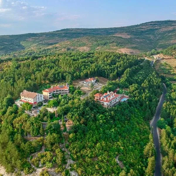 OLEO hotel, ξενοδοχείο σε Momchilgrad