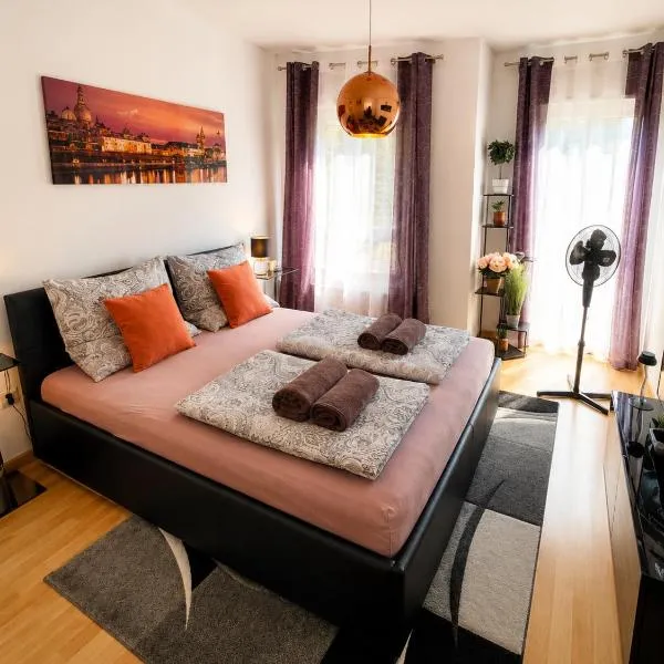 Comfortable Apartment on Elbe River, hotel en Dresden