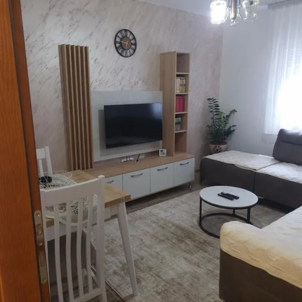 Apartmani Mićo、ニクシッチのホテル