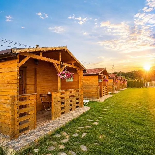 Casa Fericirii, hotel en Cârţişoara