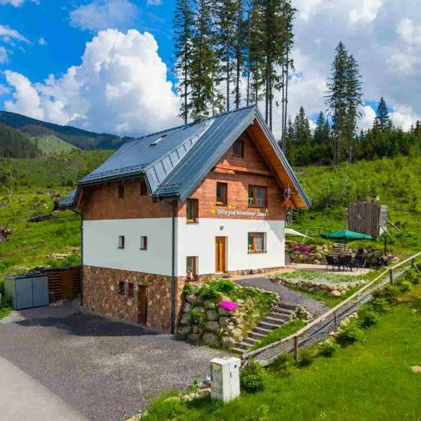 Villa pod hviezdami Jasná, khách sạn ở Demanovska Dolina