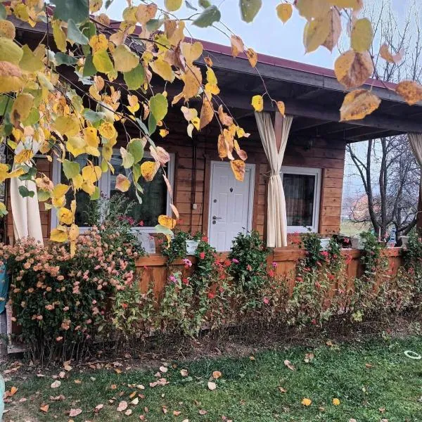 Bungalow Maria&Razvan, hotel in Pângărăcior