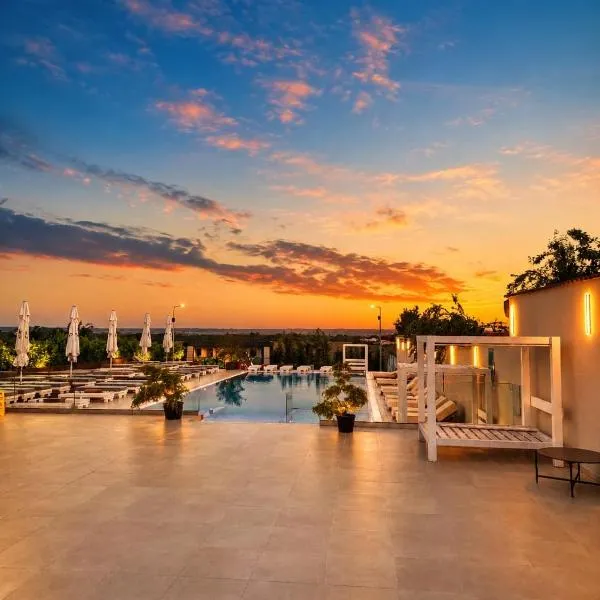 Hotel Goya Boutique, khách sạn ở Târgu Jiu