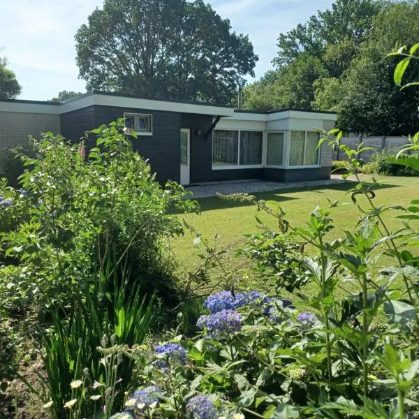쥐드볼드에 위치한 호텔 Bungalow net buiten Zuidwolde