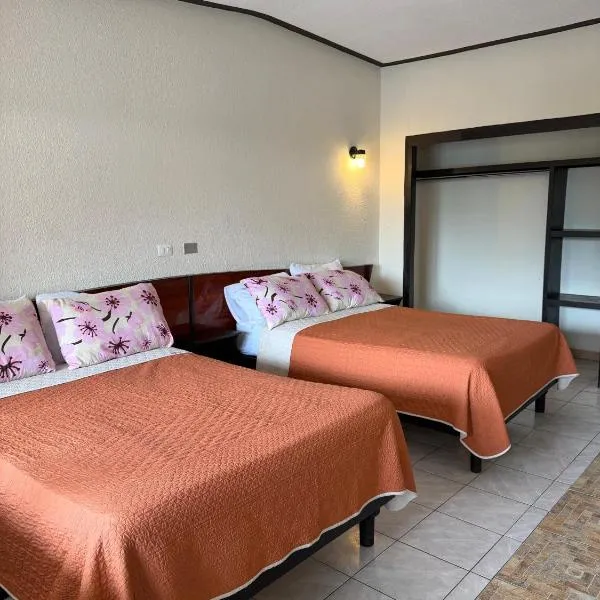 Hotel Virrey, ξενοδοχείο σε Reynosa