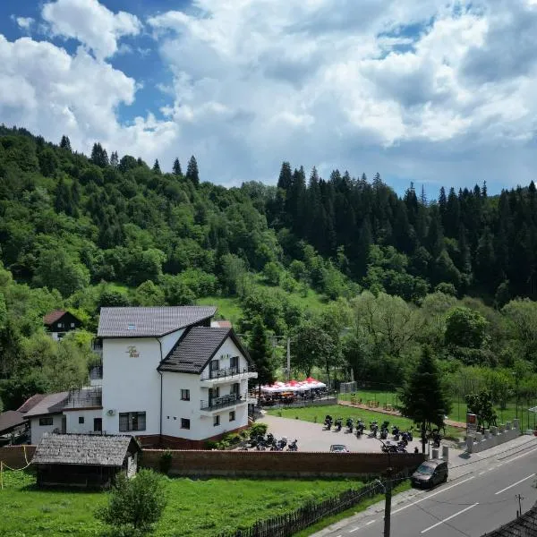 Zan Hotel Voineasa, Hotel in Voineasa