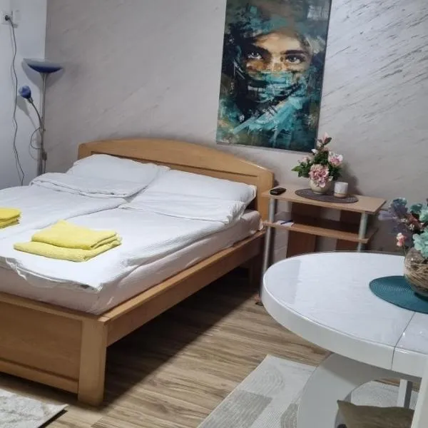studio TEONA 1,位于新瓦罗什的酒店