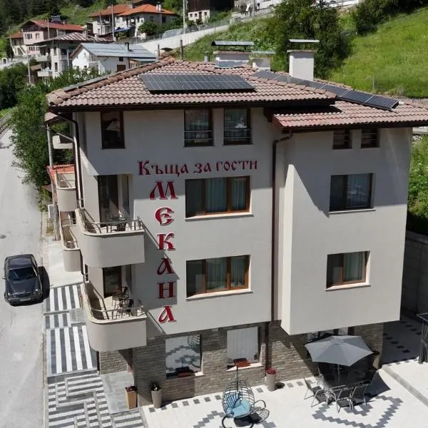 Къща за гости Мекана,位于Borino的酒店