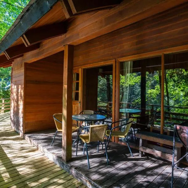 Patagonia Mawida, hotel em Neltume