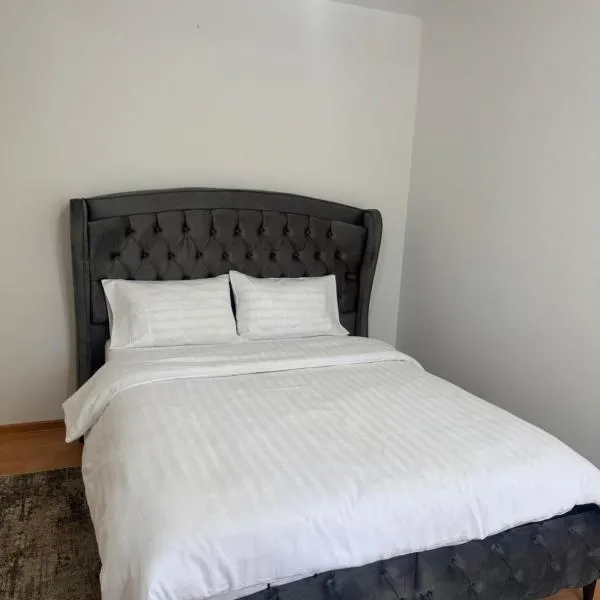 Apartament Central Pietonalul Unirii – hotel w mieście Botoszany