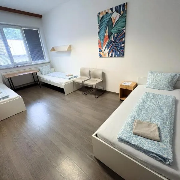 Apartmans and ROOMS with PARKING Turgenevova - Olomoucka, hotel u Brnu