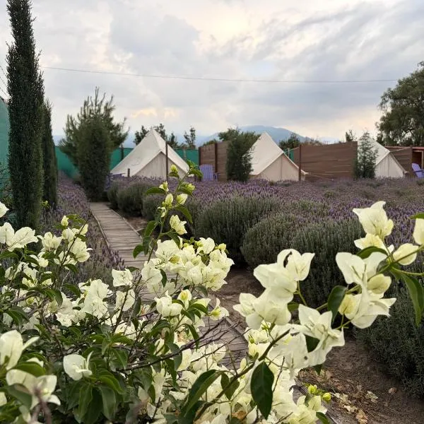 Glamping Rincón de Lavanda,Texcoco de Mora的飯店
