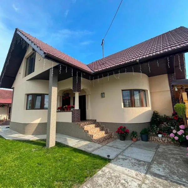 Pensiunea CAV, hotel en Novaci-Străini