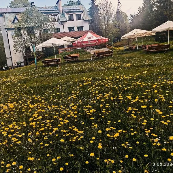 Wróbelek，韋特利納的飯店