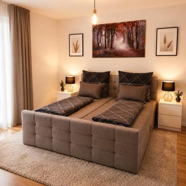 Modern Comfort Apartment، فندق في درسدن