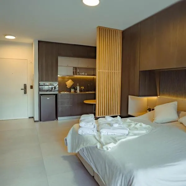 Elegante estudio, hotel in Buenos Aires