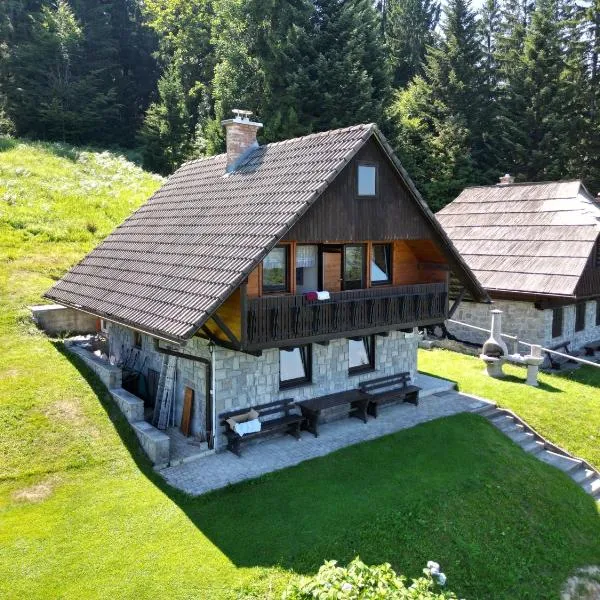 Ribnica na Pohorju에 위치한 호텔 Private Forest Cabin with Epic View
