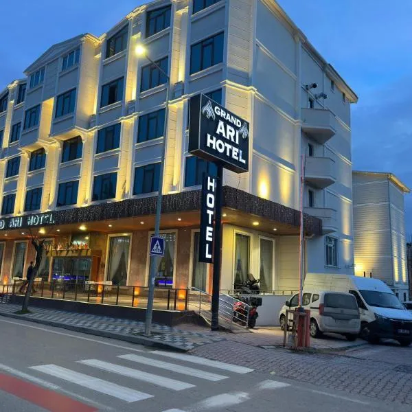 Afyon Grand Arı Hotel, khách sạn ở Afyon