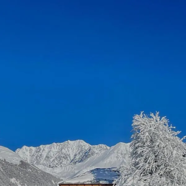 Alpine Guesthouse in Svaneti Tsana,位于Tsʼana的酒店