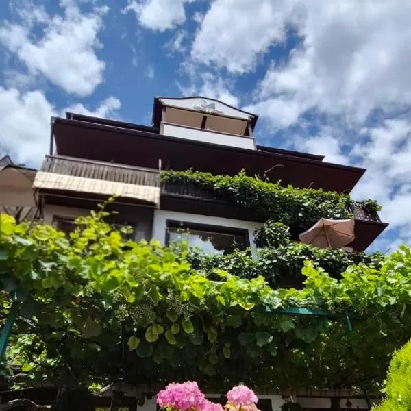 Villa Malezan, hotel in Ohrid