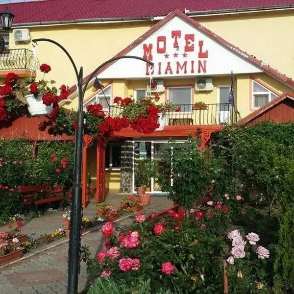 Motel Biamin, hotel i Tăşnad