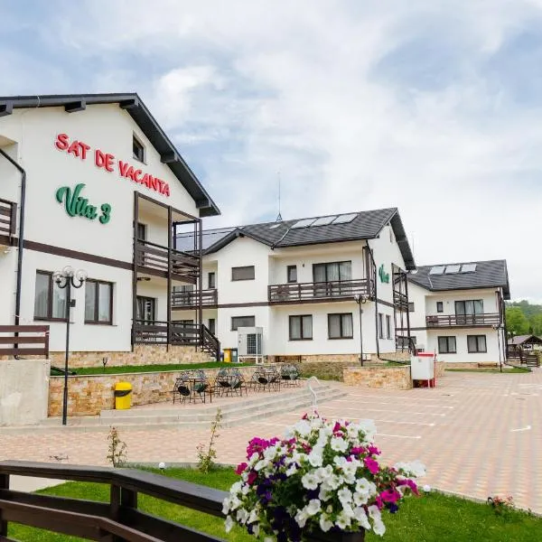 Sat de Vacanta Martisorul Cacica, Hotel in Suceava