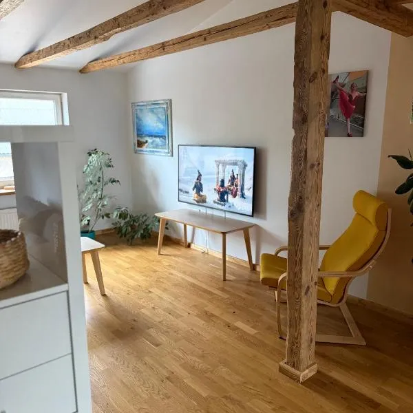 Family Retreat Loft Apartment, hotel u gradu Lijepaja