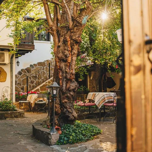 Oazis Family Hotel, hotel u gradu Loveč