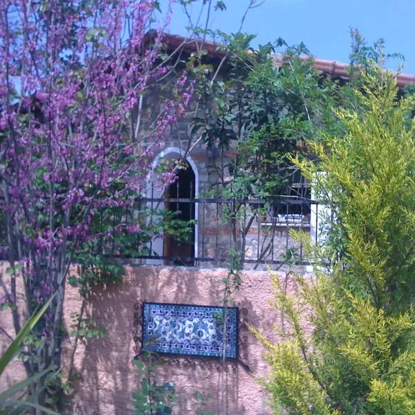 Fig Garden Cottages, hotel in Kayakoy