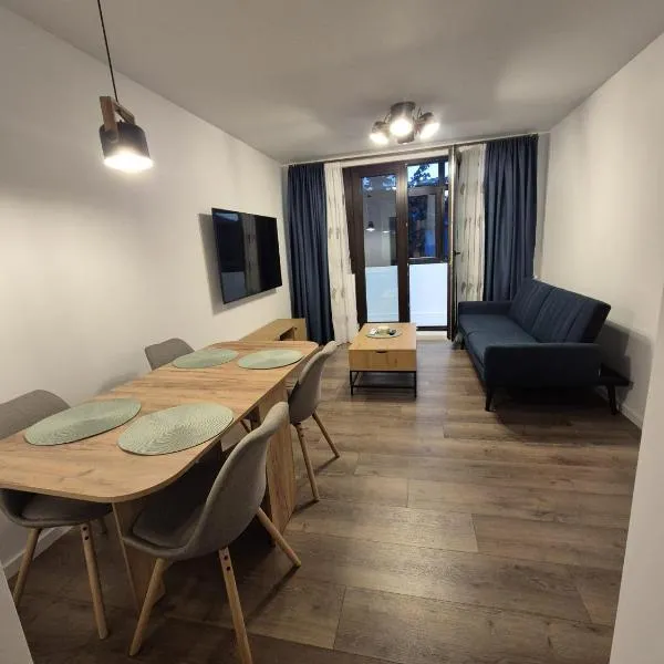 Bîrlad में, होटल The Garden Apartment
