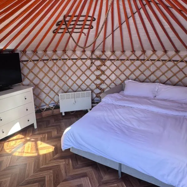 Mongolian traditional house Ger, hotel em Dzuunmod
