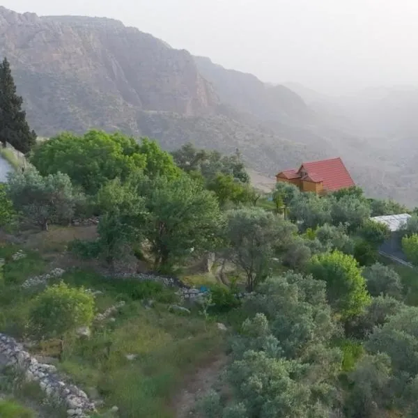 Dana luxury huts, hotel in Dana
