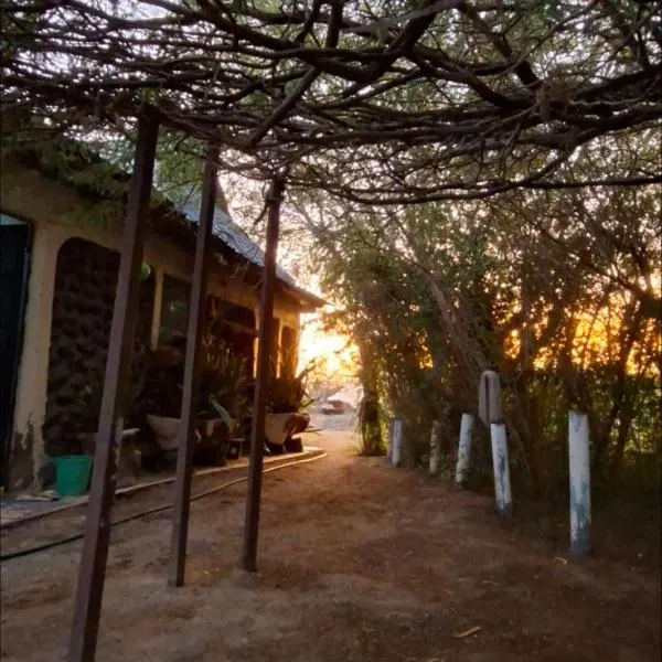 Nchaman Nest, hotel di Loiyangalani 
