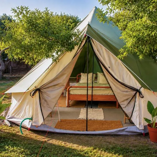 Montijo Garden - Glamping 25min de Lisboa,位于蒙蒂茹的酒店