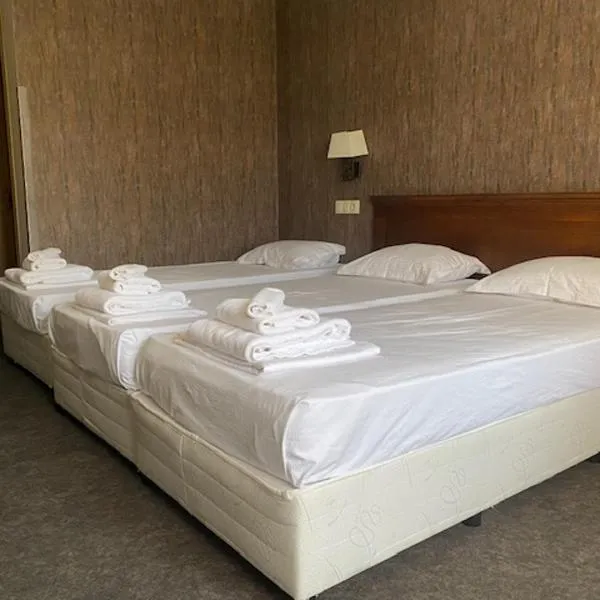 Hotel Domenic FREE PARKING，普羅夫迪夫的飯店