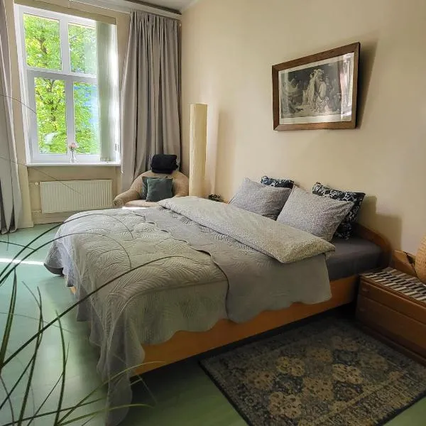 Alunana LUX - Quiet Spacious 1BR Ap, King size bed - Location 9,9 - Art Nouveau District - 700m to Old Town, hotel v Rize