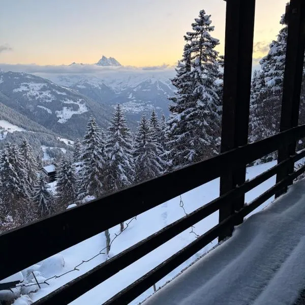 Beautiful chalet with exceptional views, ski-to-door, very quiet, hotel v destinaci Gryon