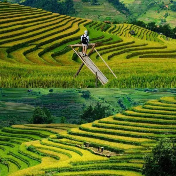 Mùa Vàng Homestay Mù Cang Chải, hotel di Mù Cang Chải