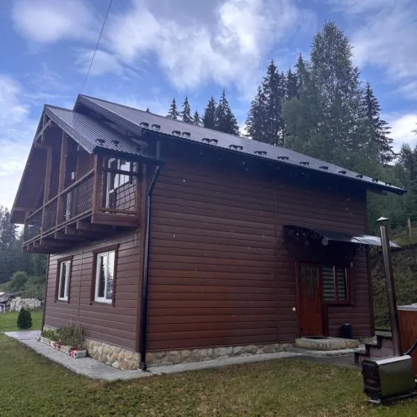 В Обіймах Карпат-Шале 2, hotel i Yablunytsya
