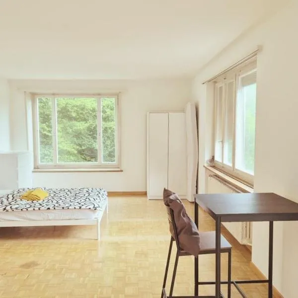 ज़्यूरिख़ में, होटल Zurich Center Flats with Balcony - RigiD