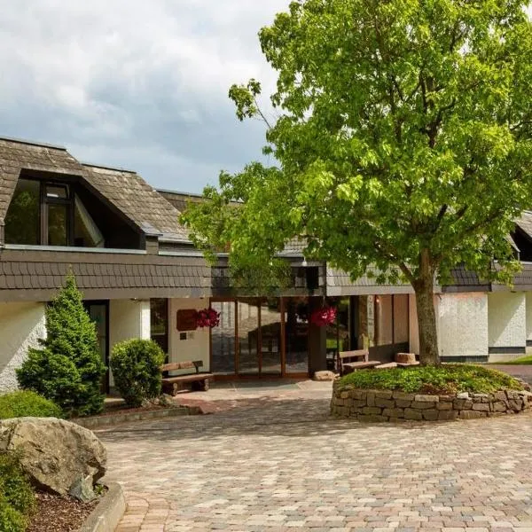 H+ Hotel Willingen by Sunday Hotels, hotel a Willingen