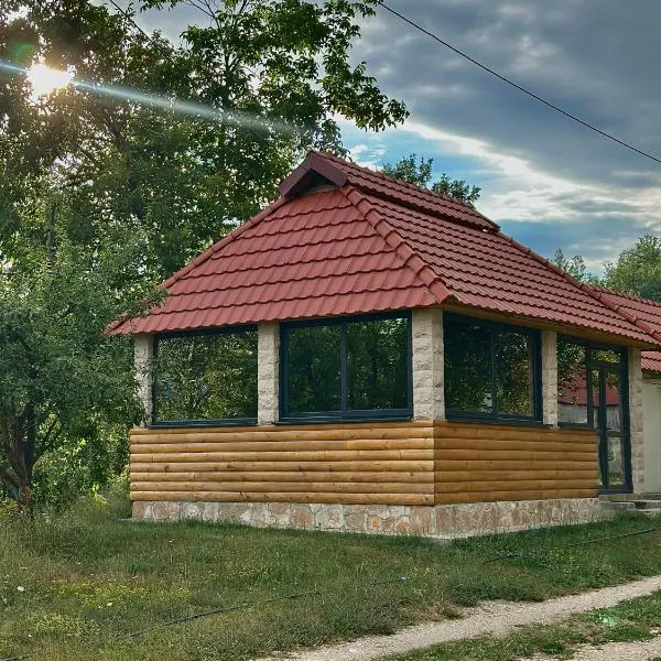 Apartments J&J,Šavnik的飯店