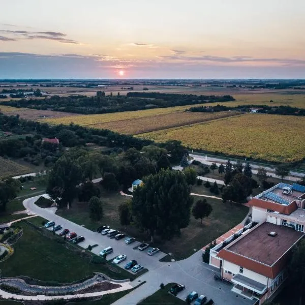 Arcanum Hotel, отель в городе Бекешчаба