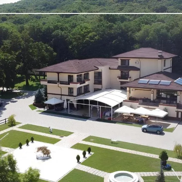 Curtea Domneasca, hotel v destinácii Vaslui